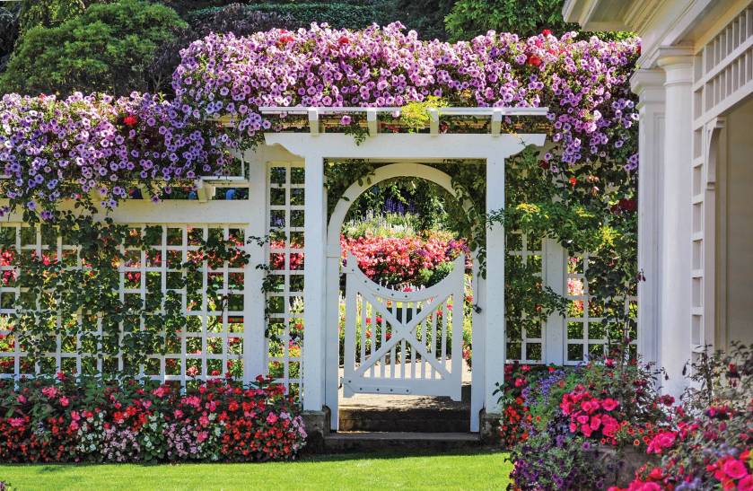 pergola z zadaszeniem