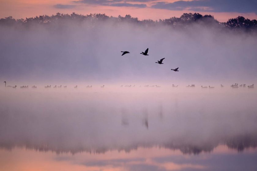 dolina baryczy we mgle