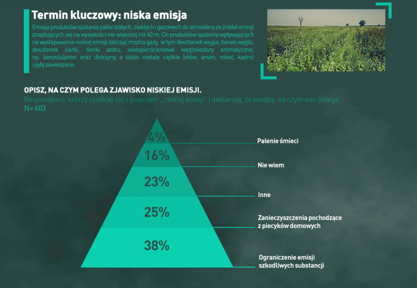 palenie drewnem w kominku