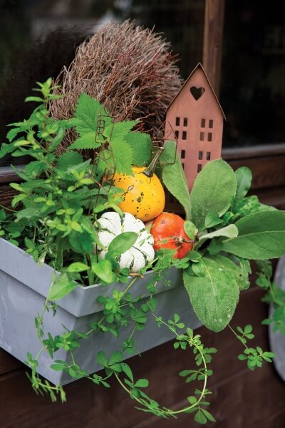 Dekoracje z dyni i stali korten