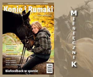 konie i rumaki