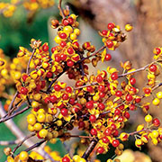 aktualny-numer-2